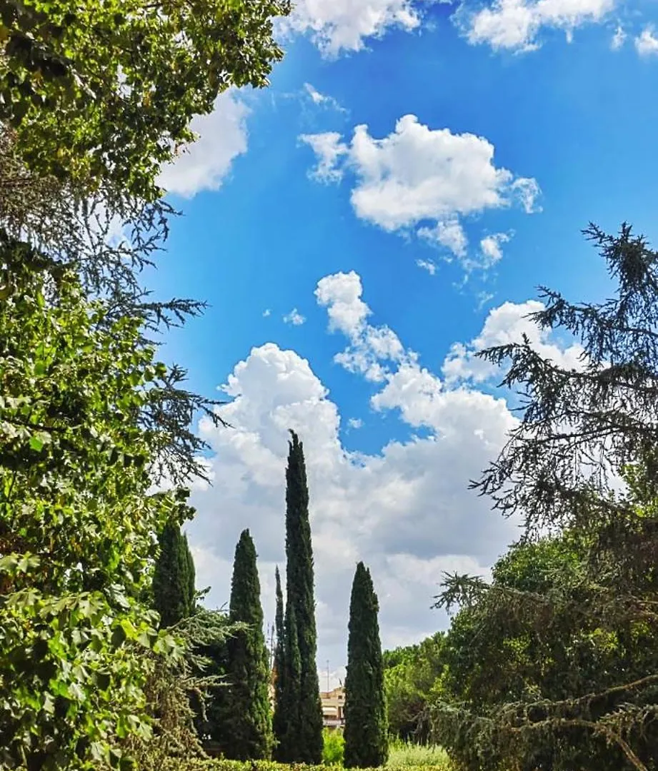 Renzi Guest House Rome